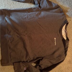 Champion Gray Sweatshirt